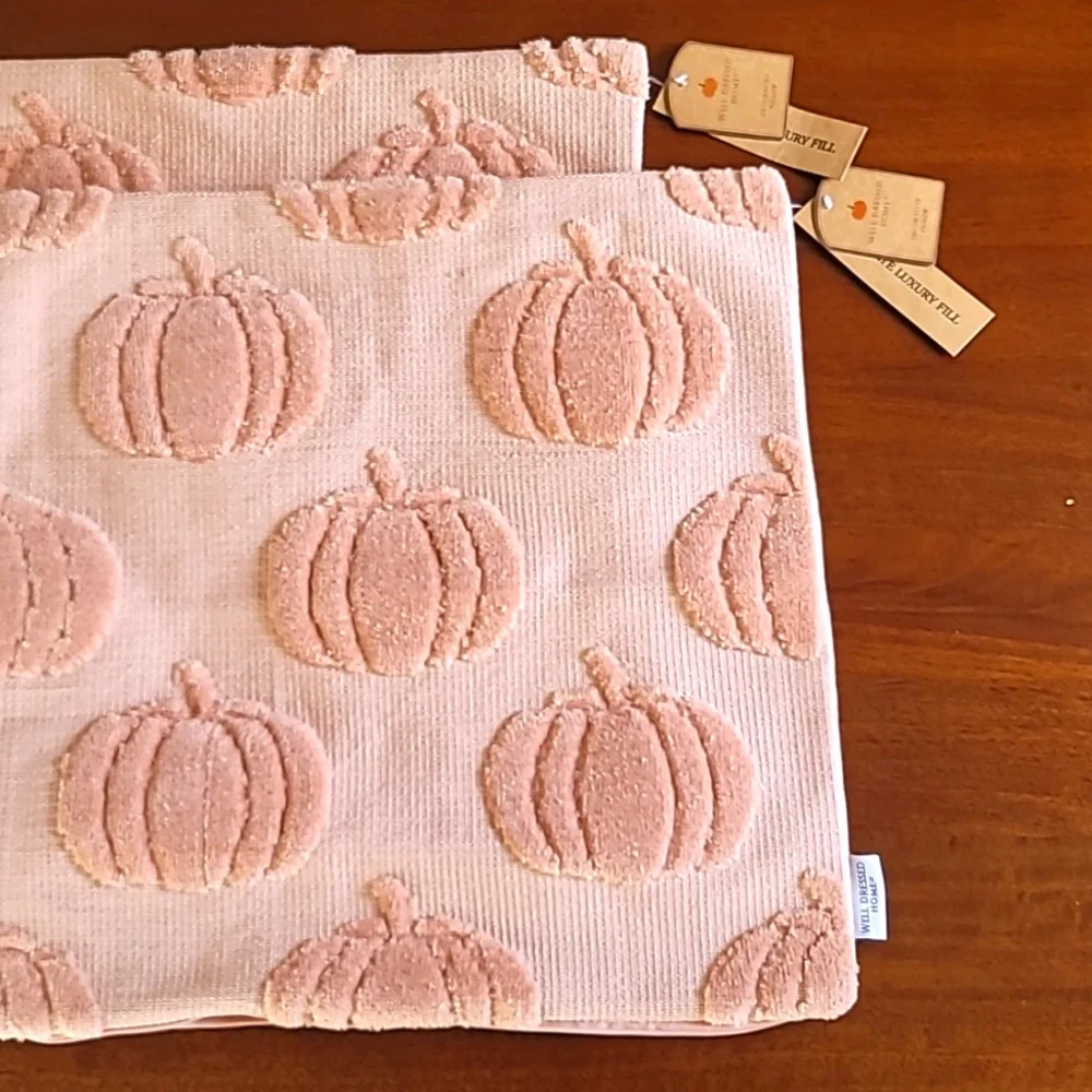Plush Pumkin Pillow Covers Blush Pink 2 Pack, 19.5 x 19.5 - Picture 1 of 9